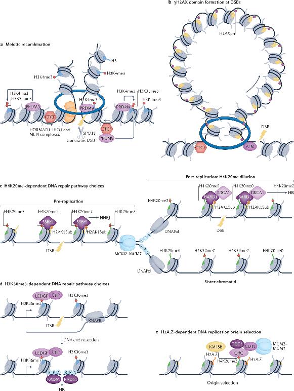 Advancements in Protein Methylation Research